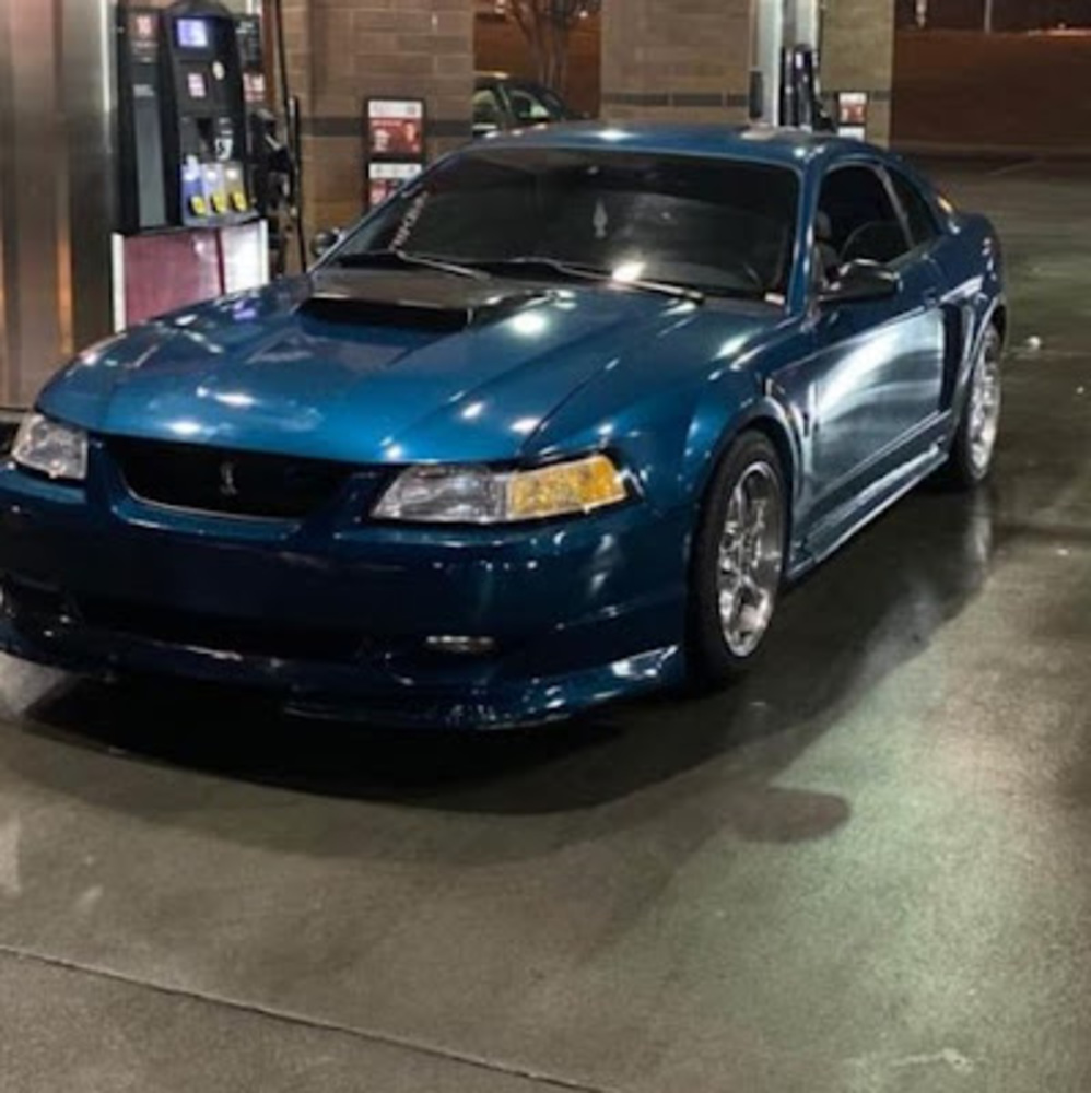 Meet your Posher, Dakota